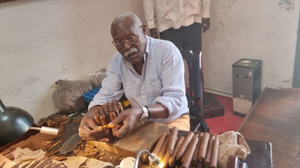 A skilled Cuban torcedor (cigar roller) demonstrating the traditional art of cigar rolling during our Havana tour. The torcedor, with years of expertise, expertly crafts a cigar while sharing insights into the intricate process of creating Cuba's iconic cigars.